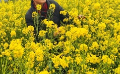 原神雷电将军被淦免费网站